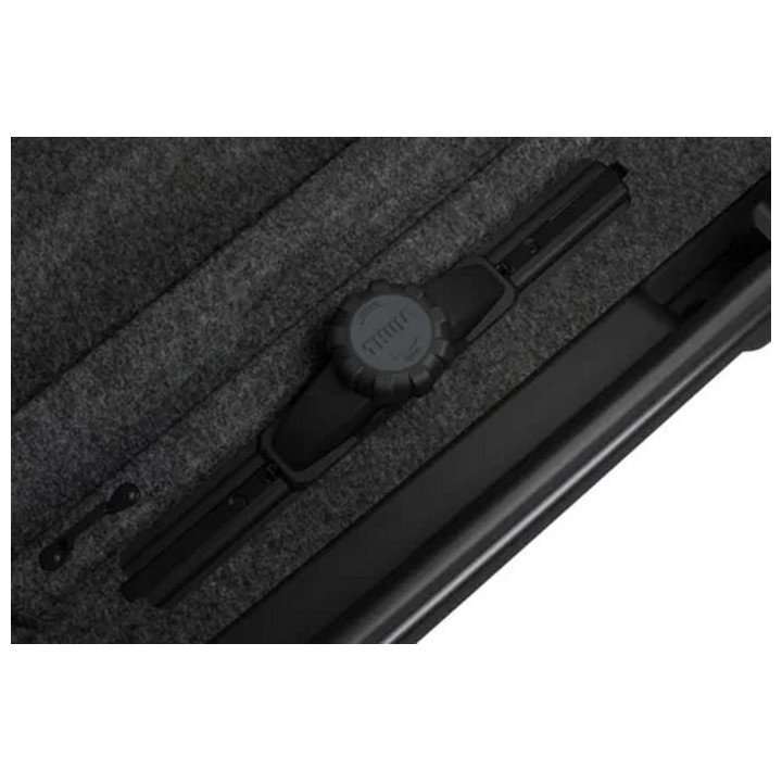 Thule Motion XT Alpine